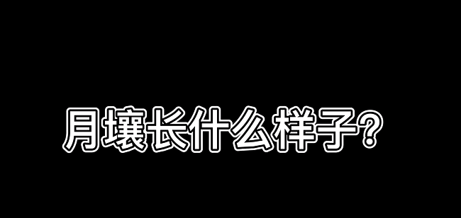 百特3000plus仪器被应用于测试月壤