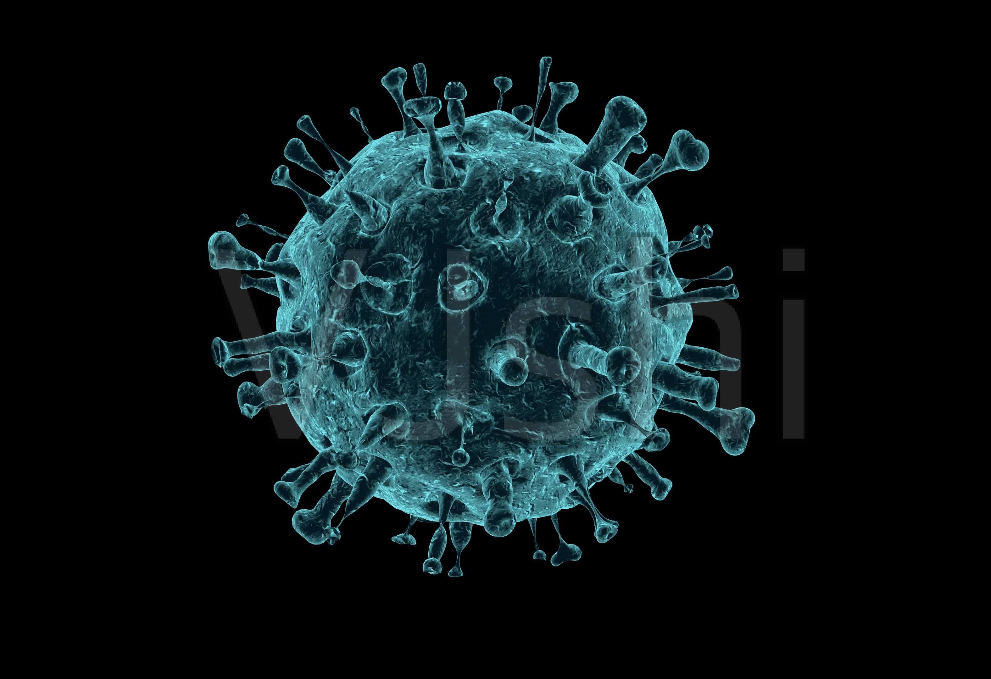 “新冠病毒与颗粒”讨论之三——新冠病毒疫苗研发中颗粒的作用
