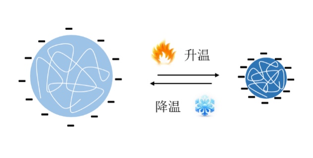 BeNano 表征温敏PNIPAm水凝胶