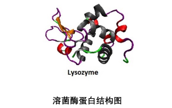 使用BeNano检测VB1和溶菌酶的粒径分布