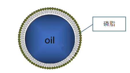 Bettersize2600激光粒度分析仪检测脂肪乳粒度研究