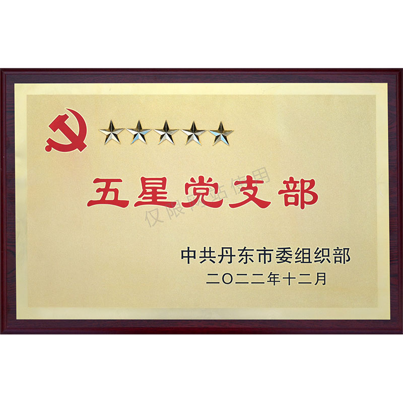 五星党支部