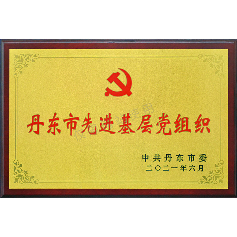 丹东市先进基层党组织